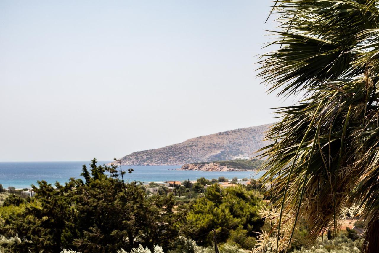 Villa Sounio Sounion Ngoại thất bức ảnh